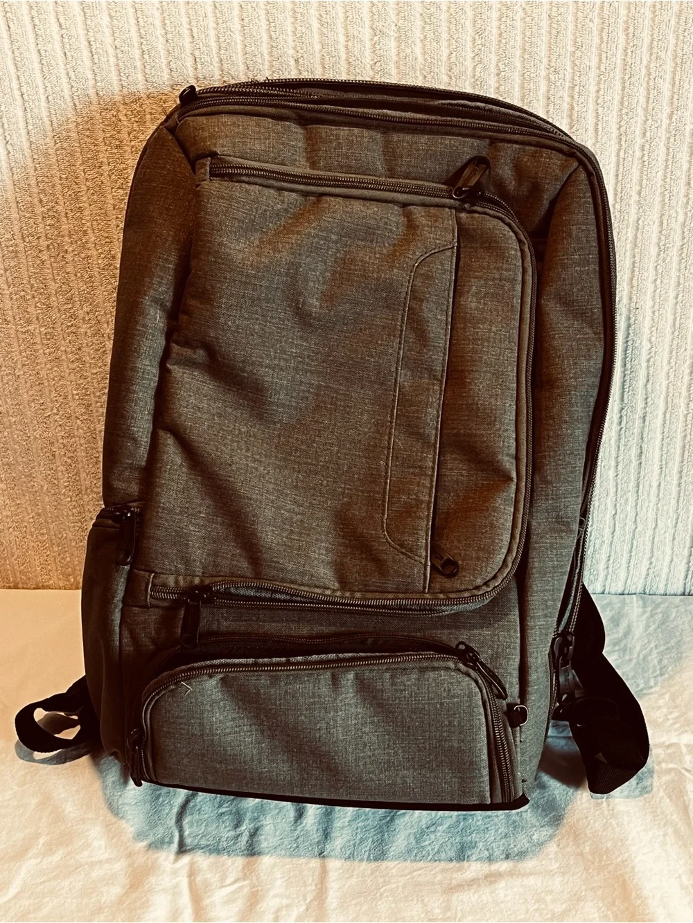 eBags Professional Laptop Travel Backpack Gray Orange Interior Carry On NWOT